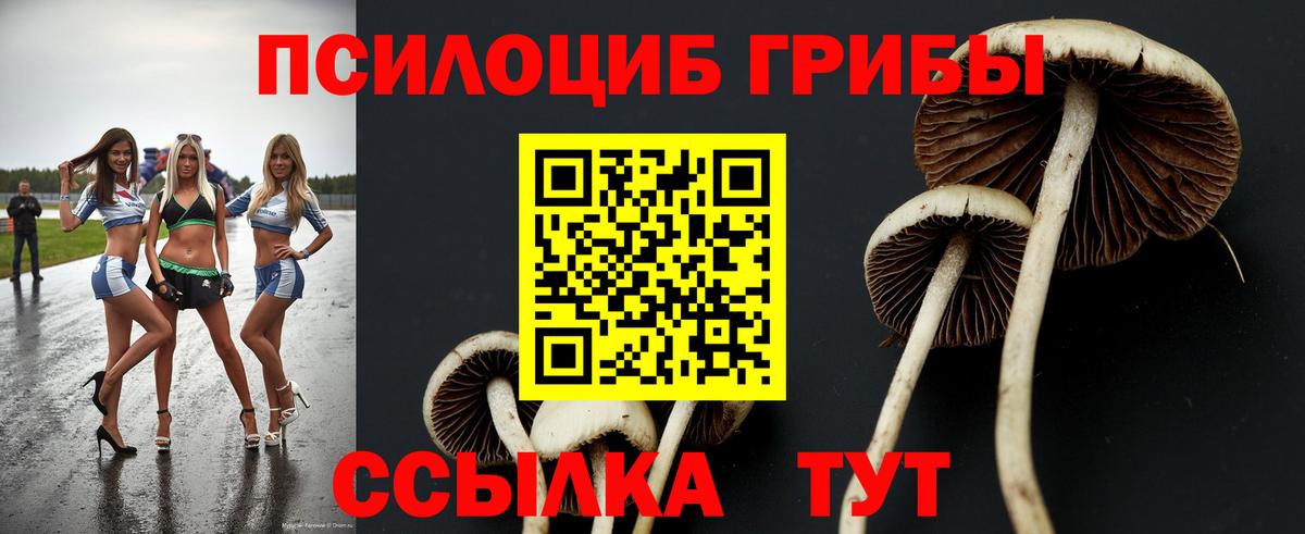 закладка  Галлюциногенные грибы мицелий  Вход с VPN  Новодвинск 