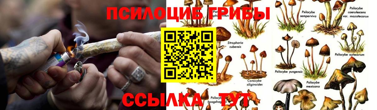 Псилоцибиновые грибы Magic Shrooms Новодвинск