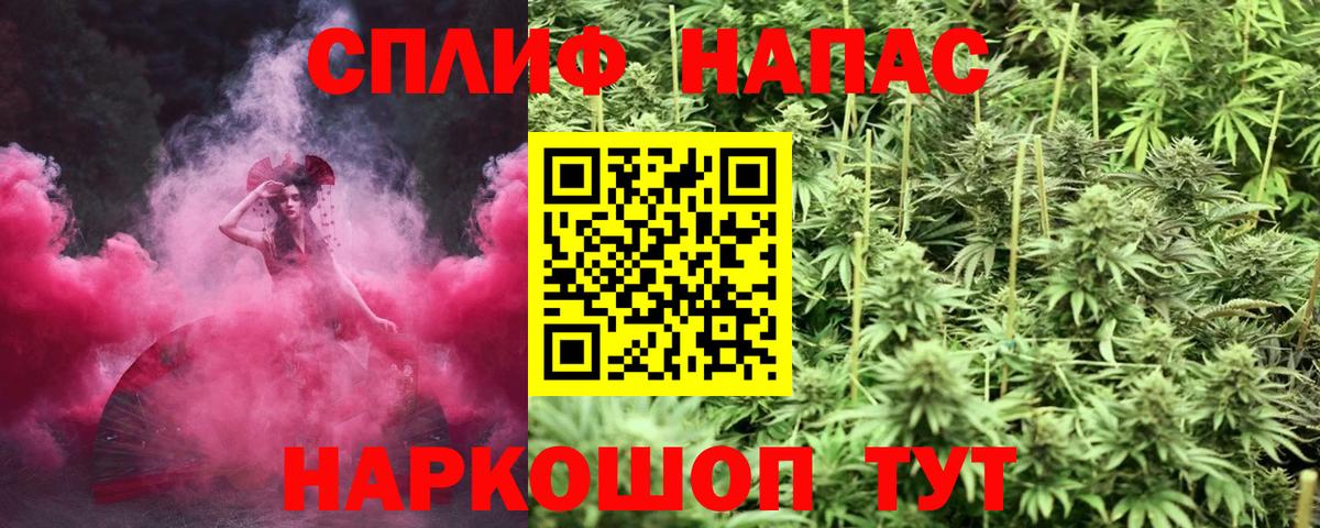 Бошки Шишки сатива  Бошки Шишки конопля  Новодвинск  Вход с VPN 